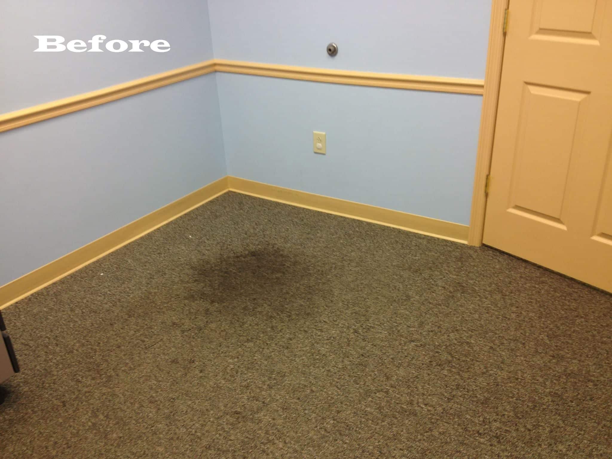 Before Carpet Cleaning In Niota & Cleveland, TN