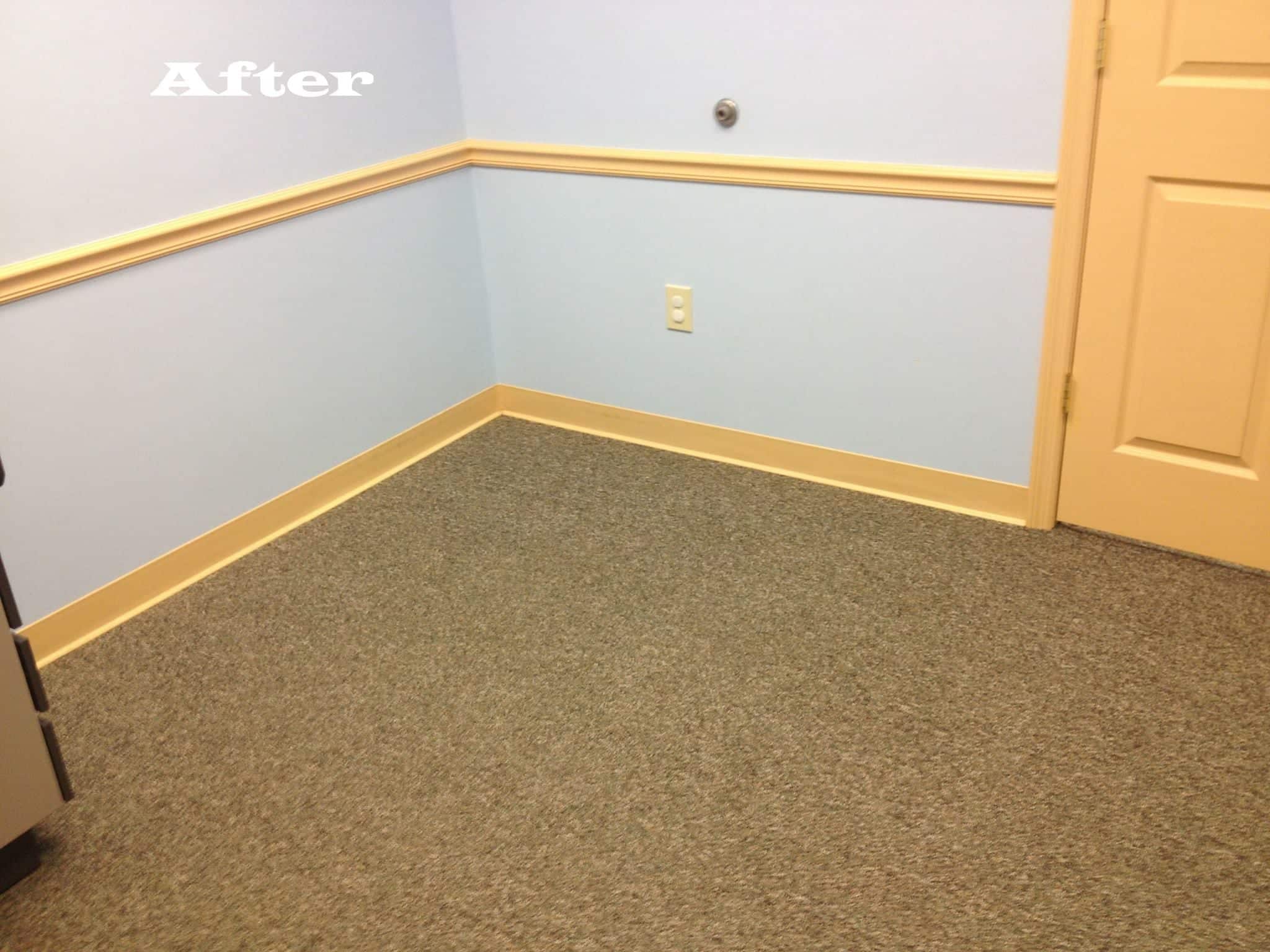 After Carpet Cleaning In Niota & Cleveland, TN