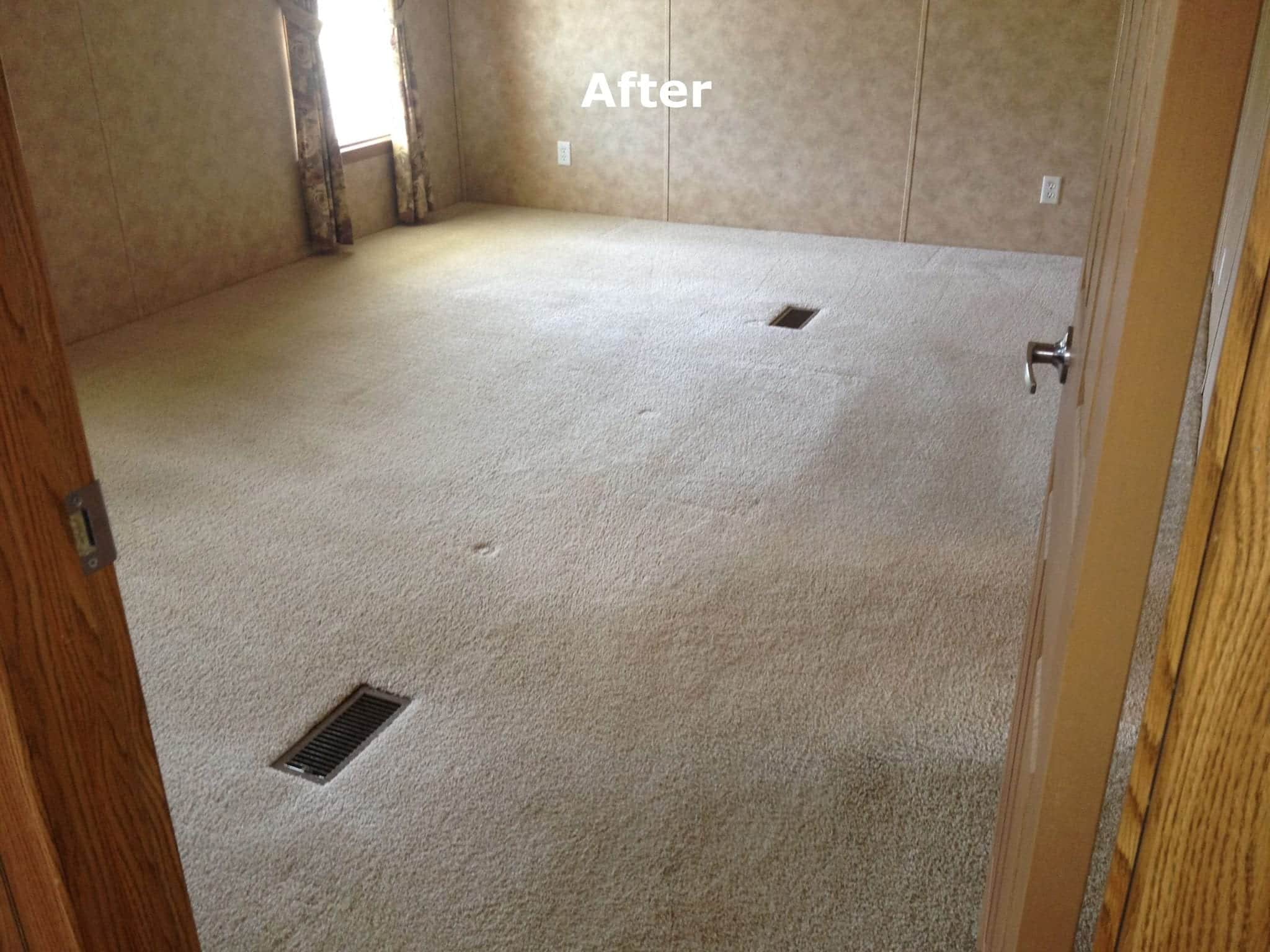 After Carpet Cleaning In Niota & Cleveland, TN