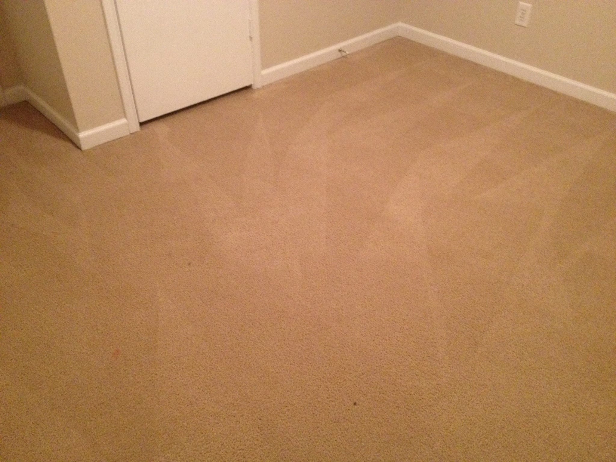 After Carpet Cleaning In Niota & Cleveland, TN