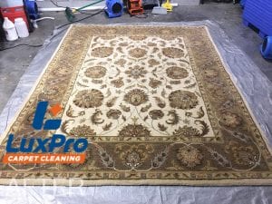 After Rug Cleaning In Niota & Cleveland, TN