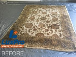 Before Rug Cleaning In Niota & Cleveland, TN