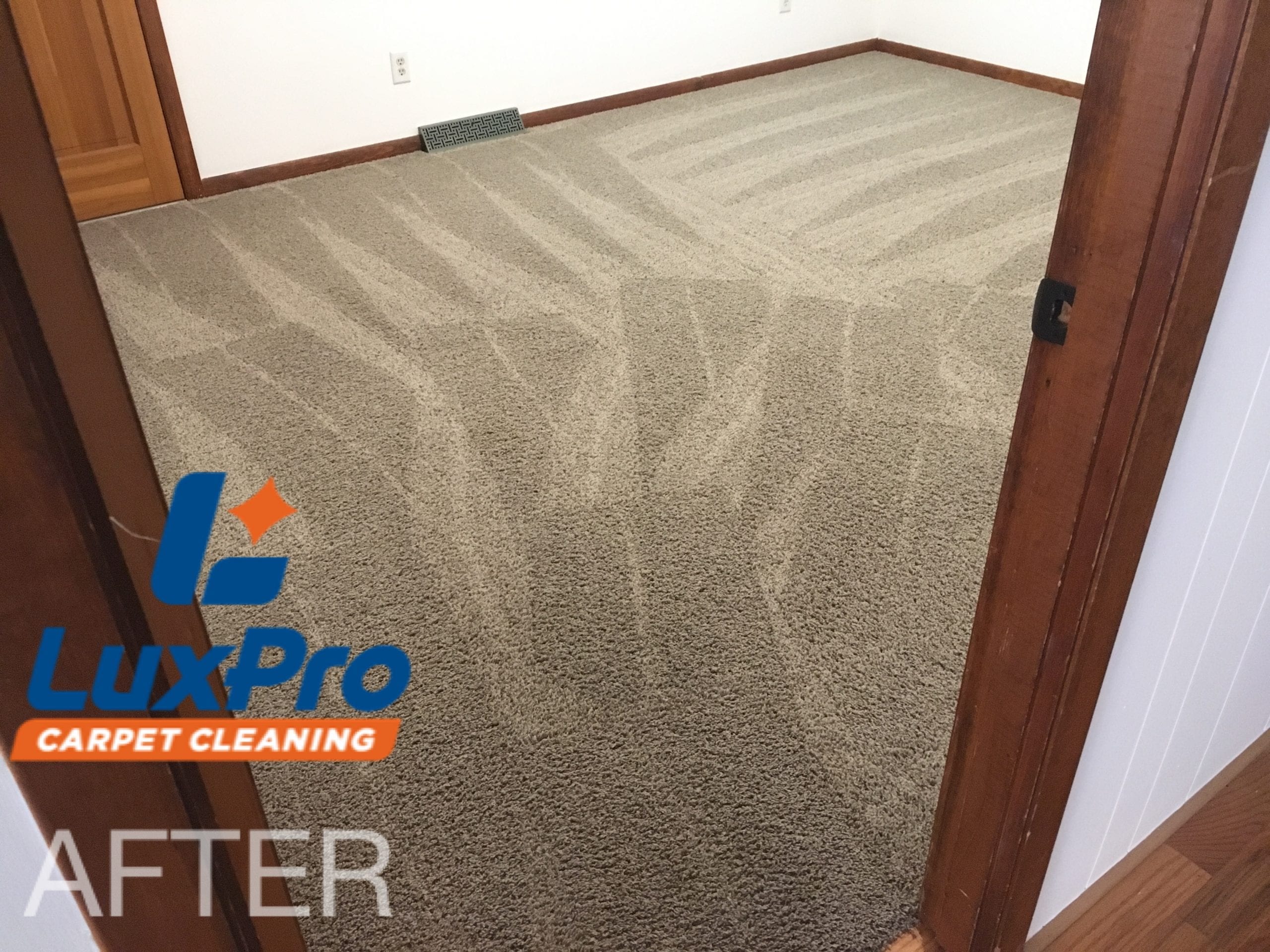 After Carpet Cleaning In Niota & Cleveland, TN