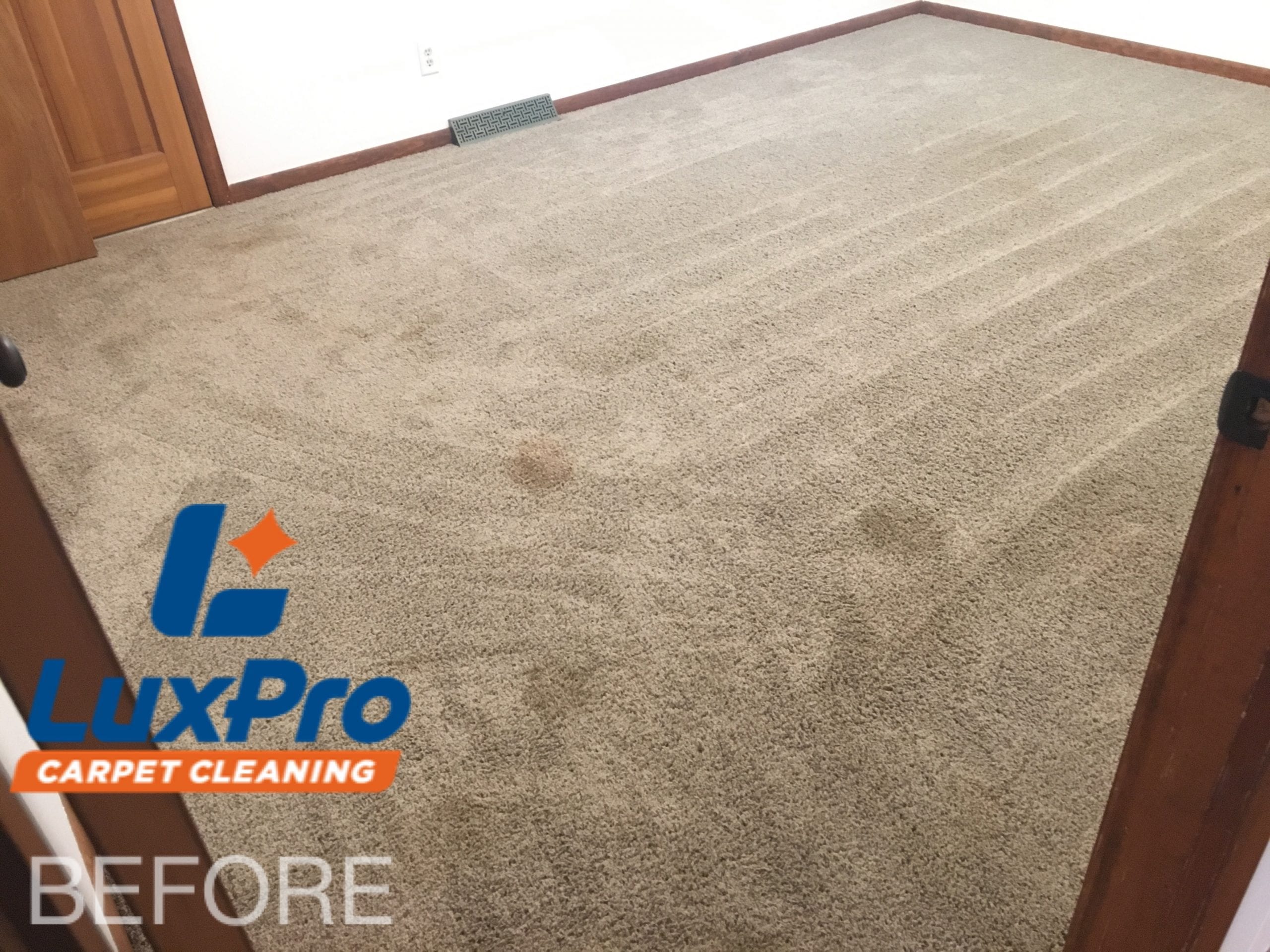 Before Carpet Cleaning In Niota & Cleveland, TN