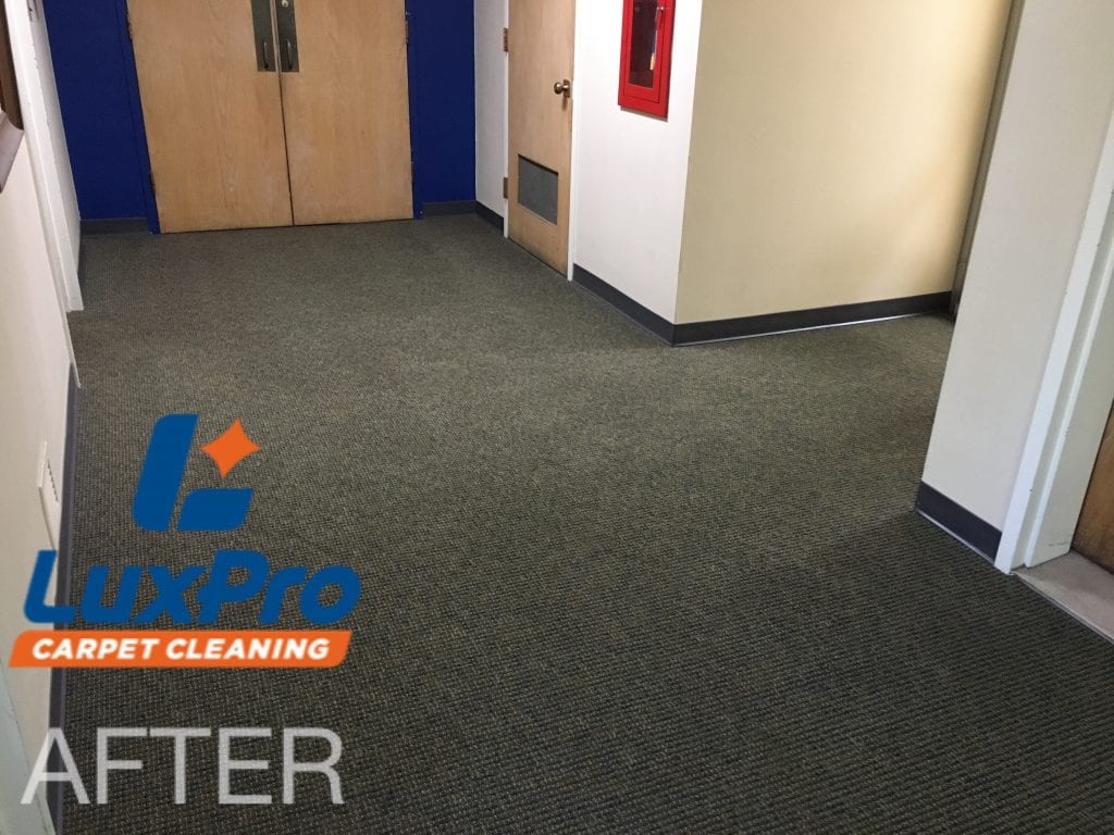 Commercial Carpet Cleaning In Niota & Cleveland, TN