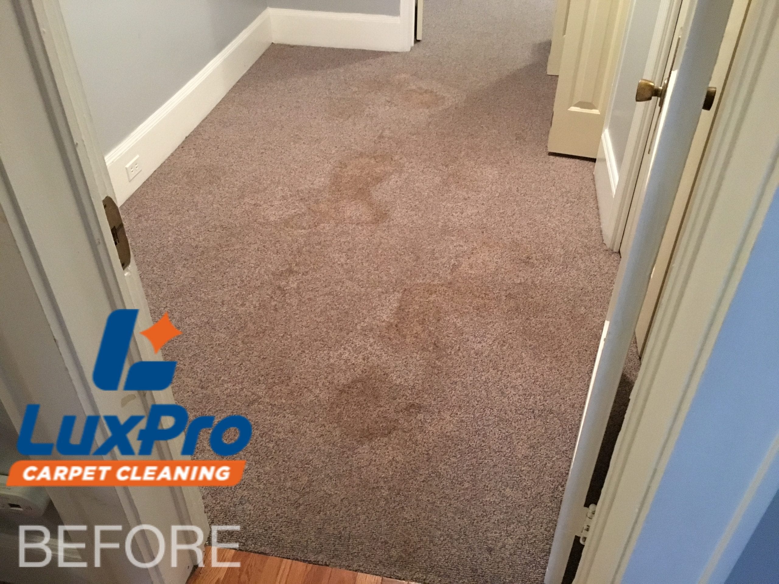 Before Carpet Cleaning In Niota & Cleveland, TN