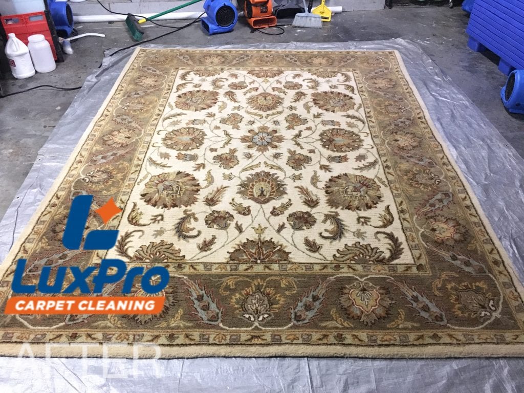 Rug Cleaning In Niota, TN & Cleveland, TN