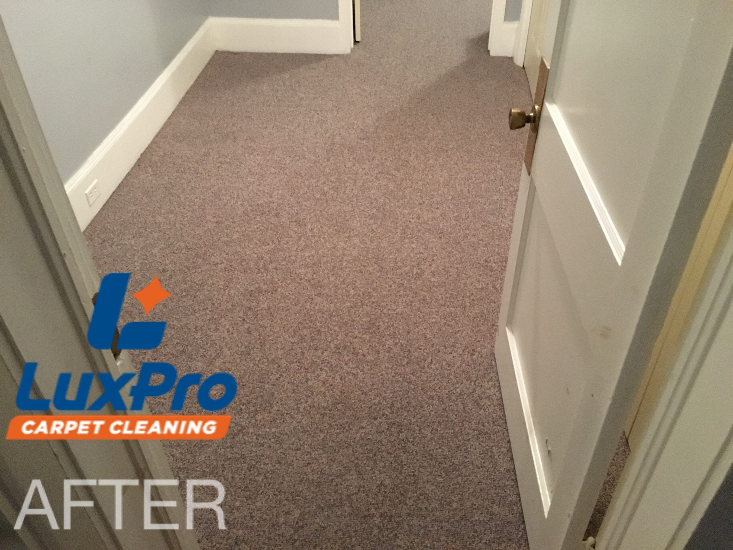 After Carpet Cleaning In Niota & Cleveland, TN