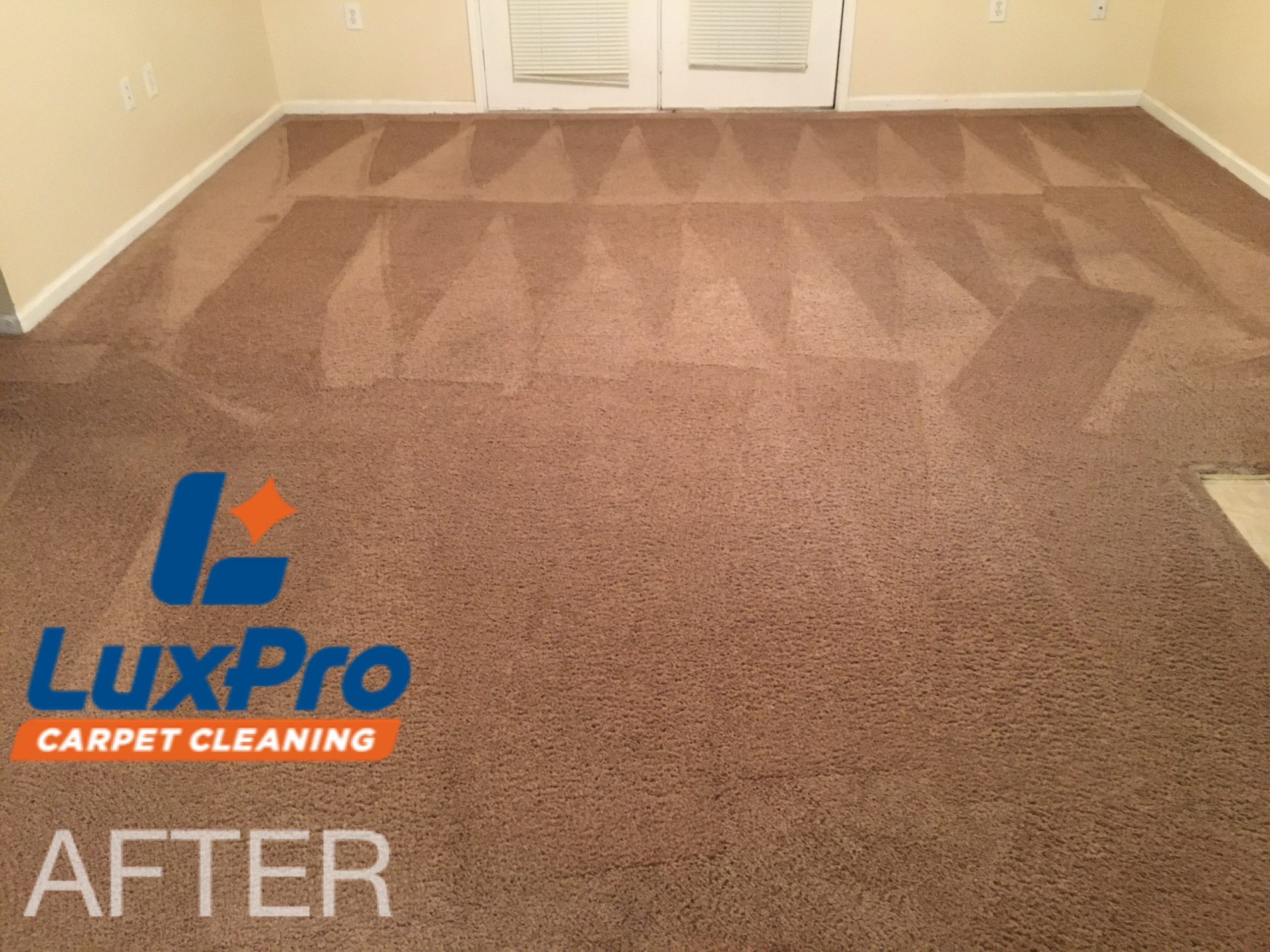 After Carpet Cleaning In Niota & Cleveland, TN