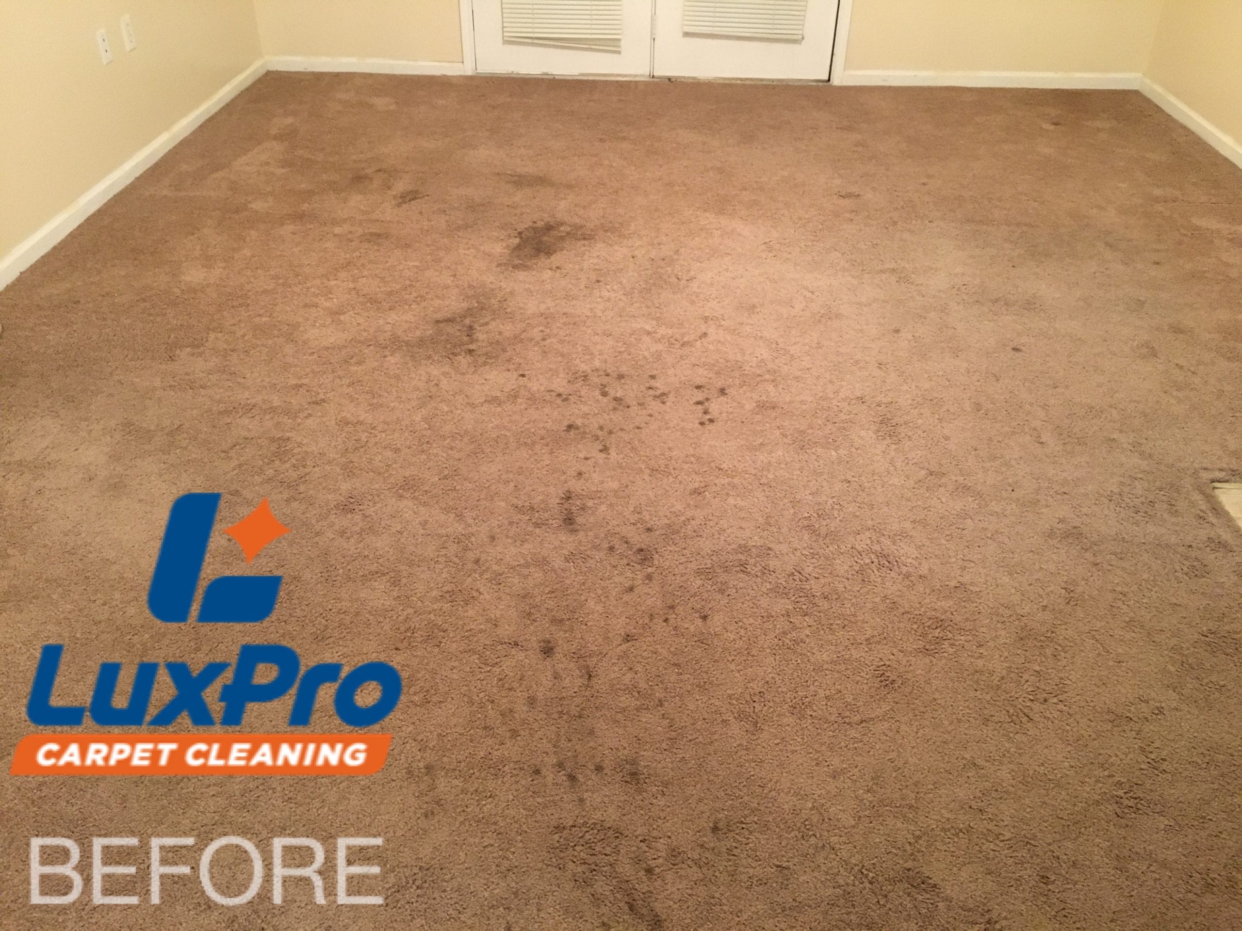 Before Carpet Cleaning In Niota & Cleveland, TN