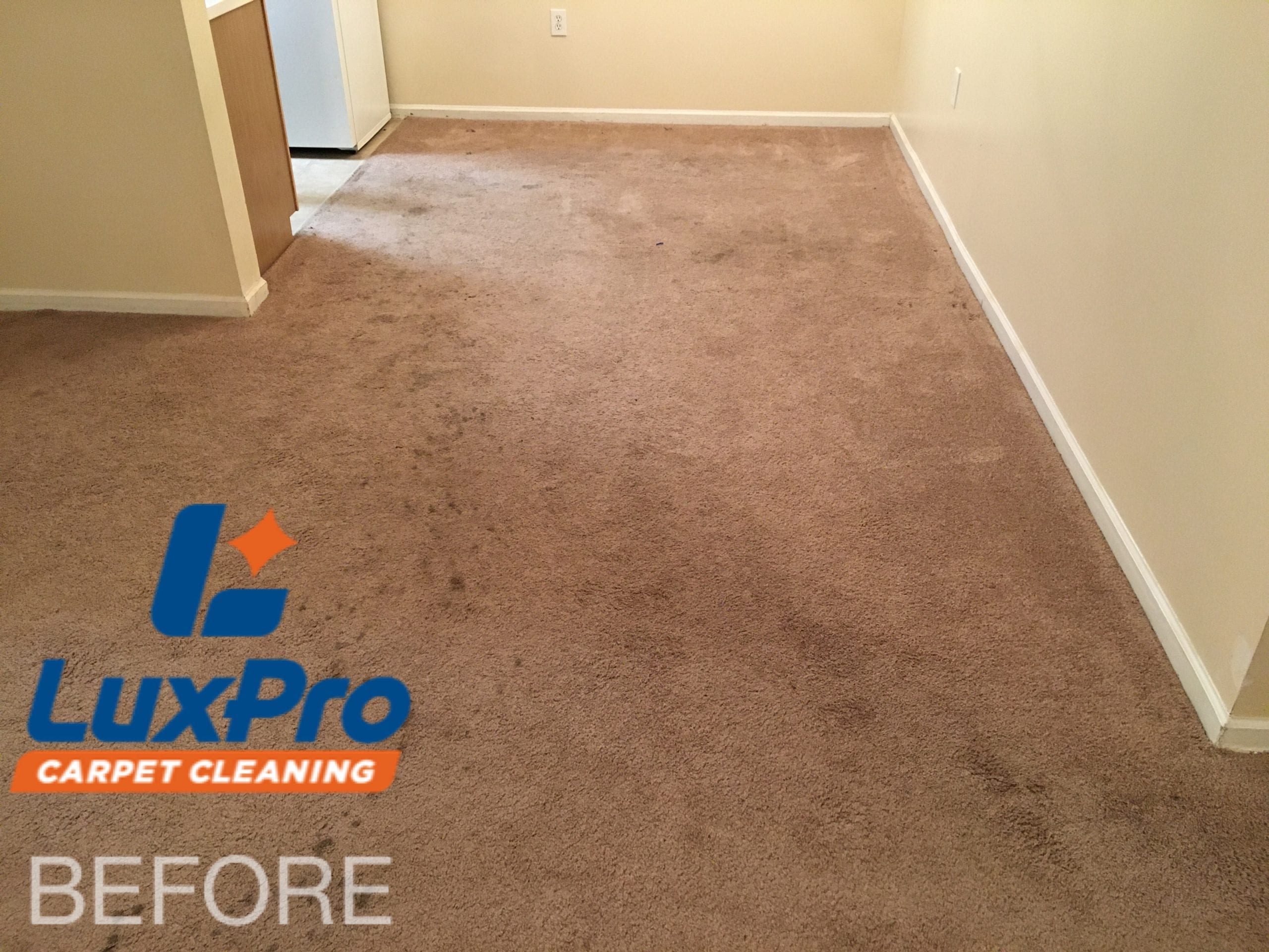 Before Carpet Cleaning In Niota & Cleveland, TN