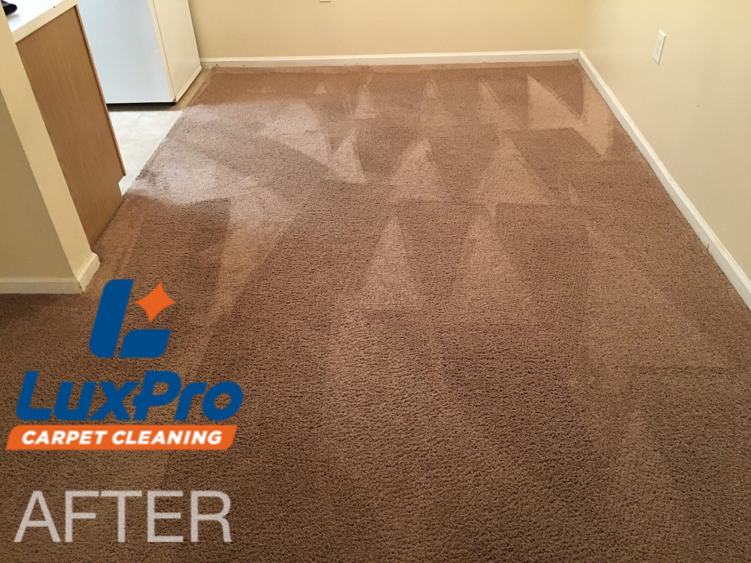 After Carpet Cleaning In Niota & Cleveland, TN