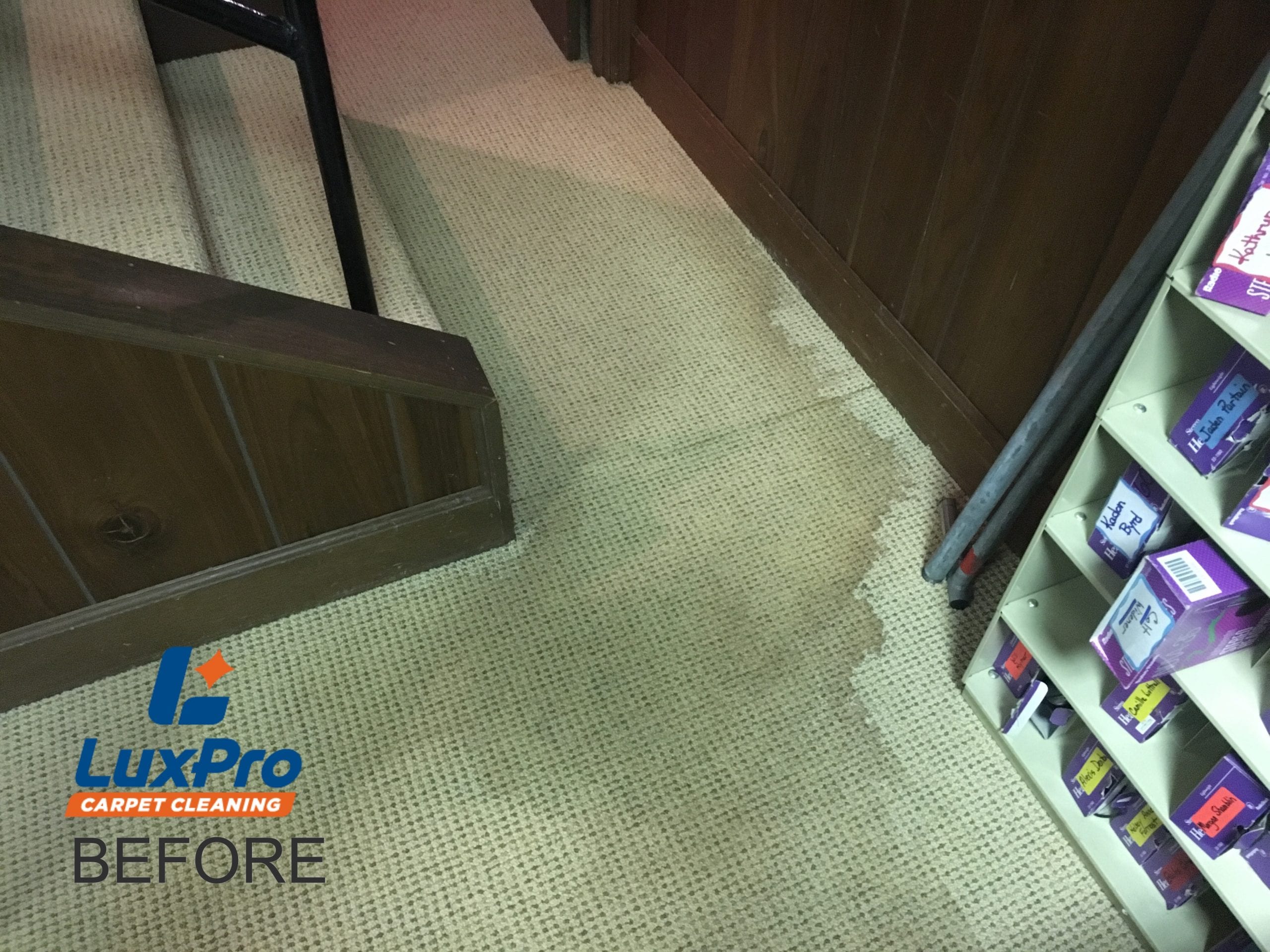 Before Carpet Cleaning In Niota & Cleveland, TN