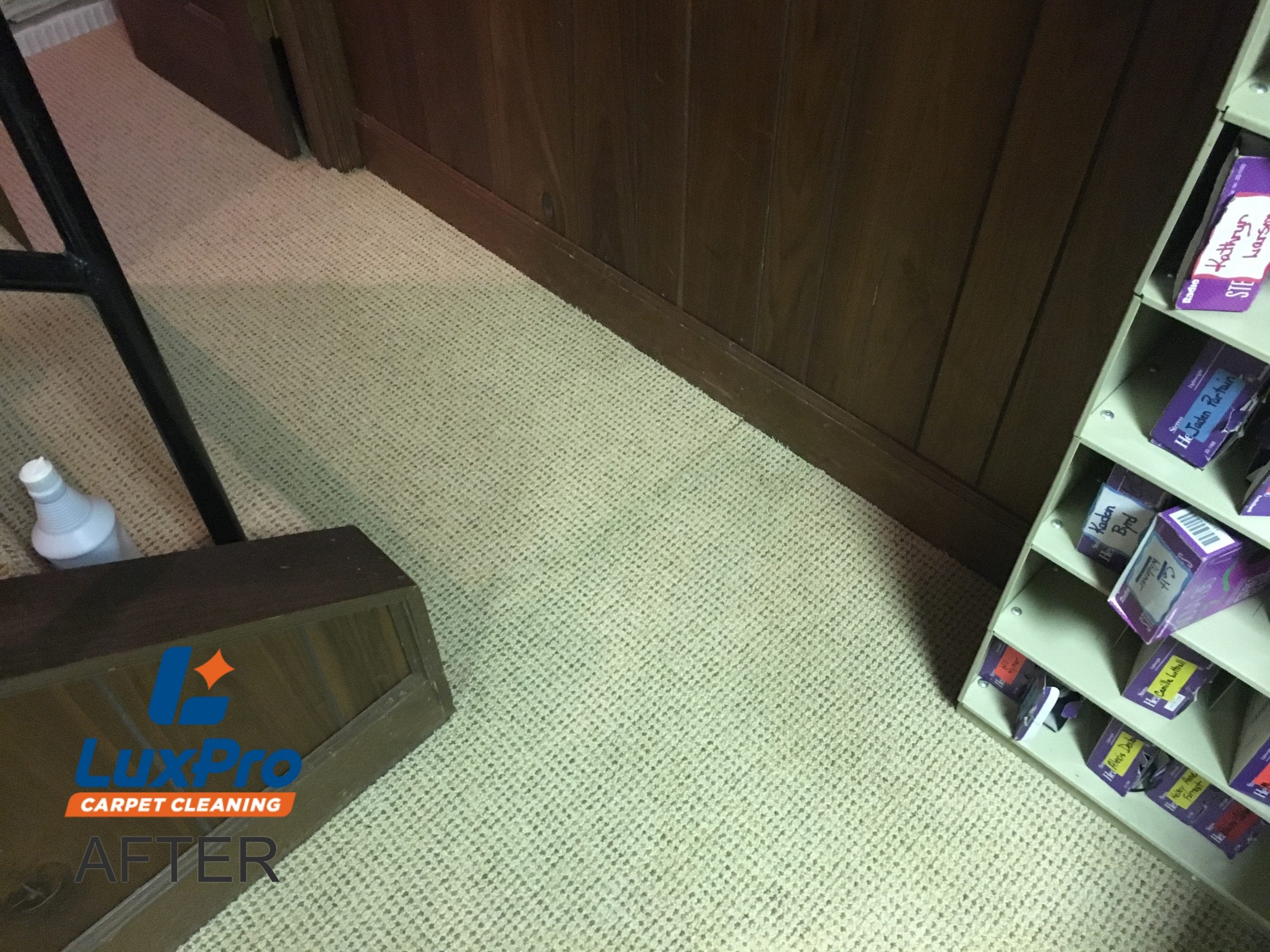 After Carpet Cleaning In Niota & Cleveland, TN