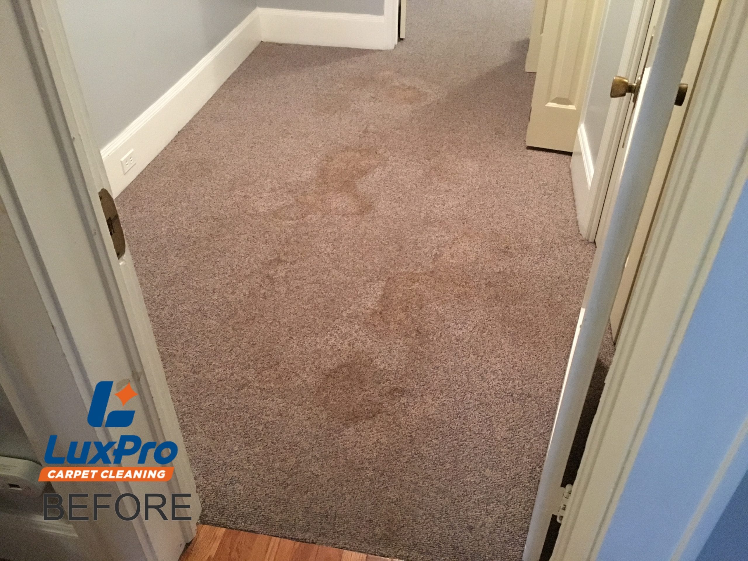 Before Carpet Cleaning In Niota & Cleveland, TN