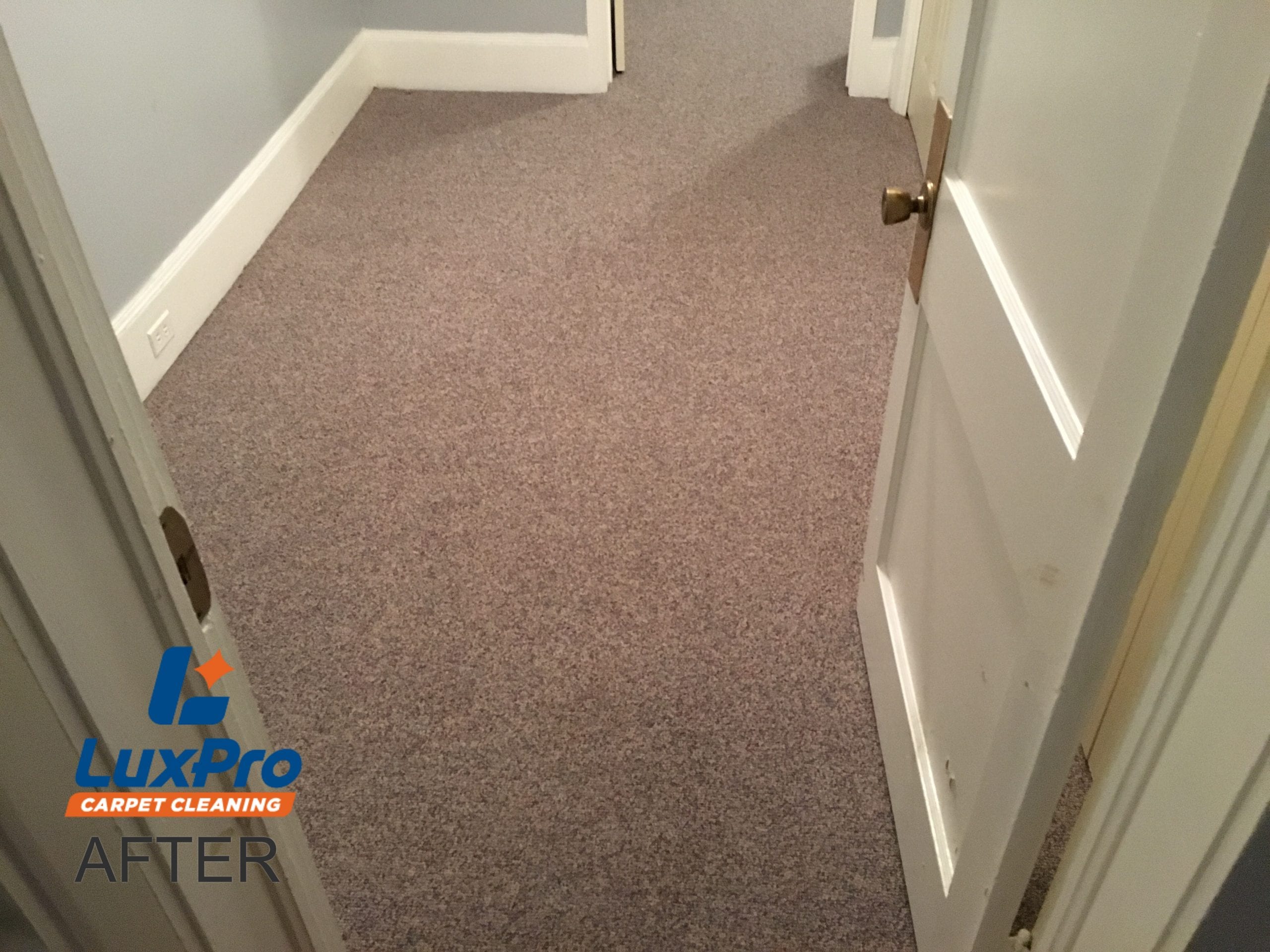 After Carpet Cleaning In Niota & Cleveland, TN