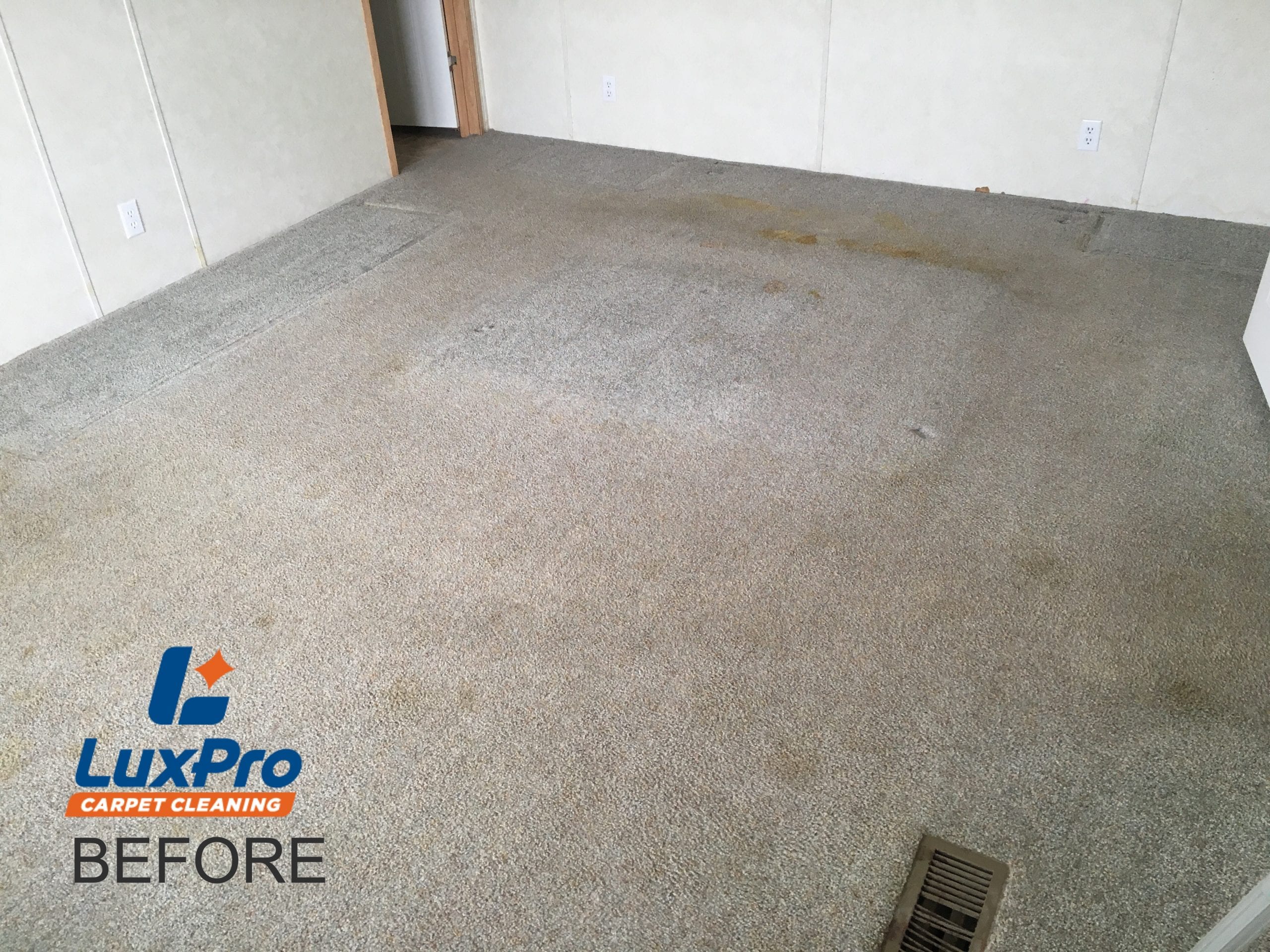 Before Carpet Cleaning In Niota & Cleveland, TN