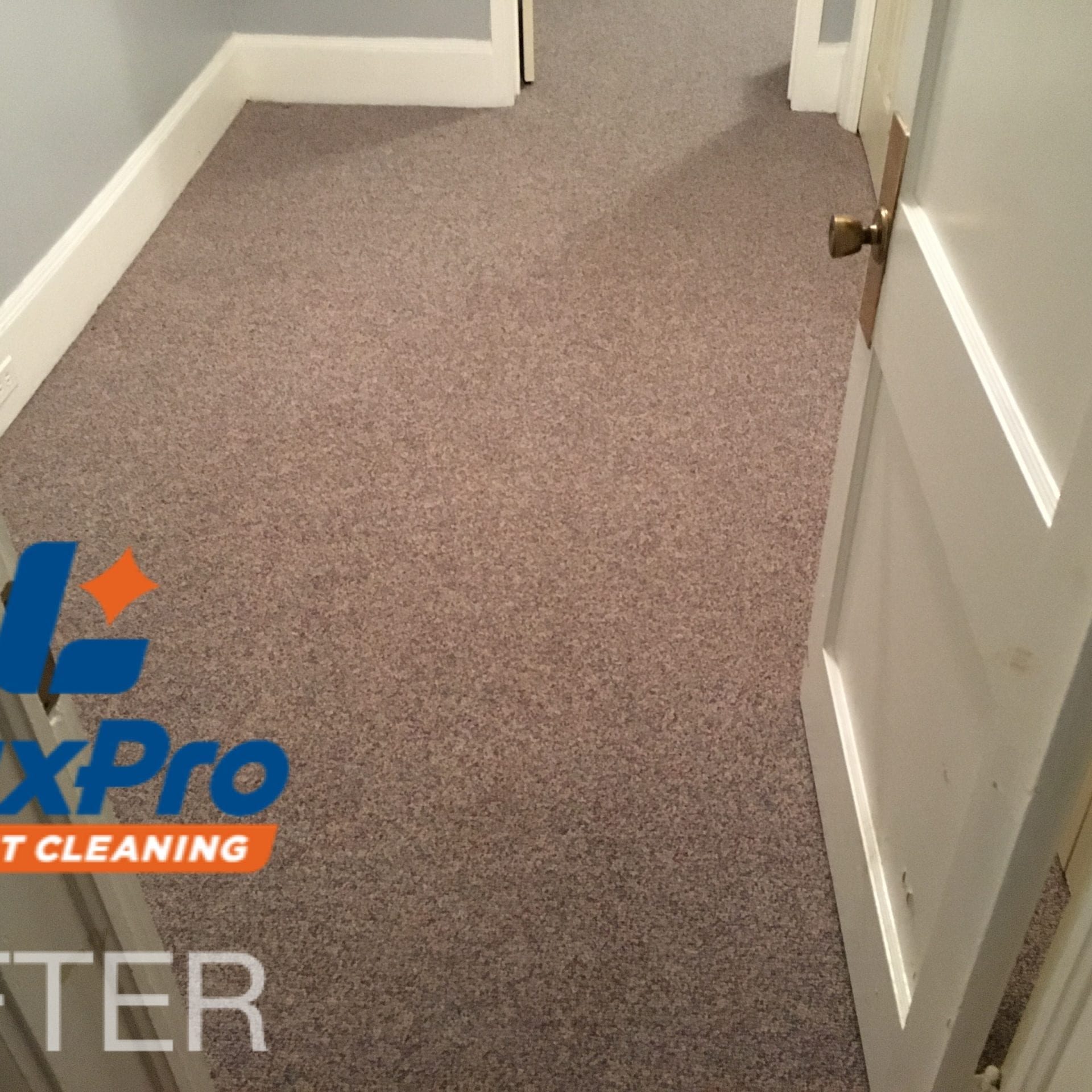 After Carpet Cleaning In Niota & Cleveland, TN